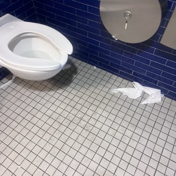 Brooklyn Botanic Garden - State of the restroom. Please hire more staff. For $25 a head think you can make it happen. - Botanical Gardens Near Me - Brooklyn, New York