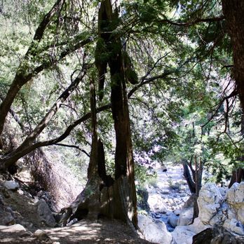Big Falls - On the way back down. - Hiking Near Me - Forest Falls, California