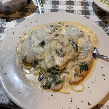 Casa Pasta - Chicken florentine with pasta, I love the saucy part. - Italian Near Me - Helotes, Texas Casa Pasta - Chicken florentine with pasta, I love the saucy part. - Italian Near Me - Helotes, Texas