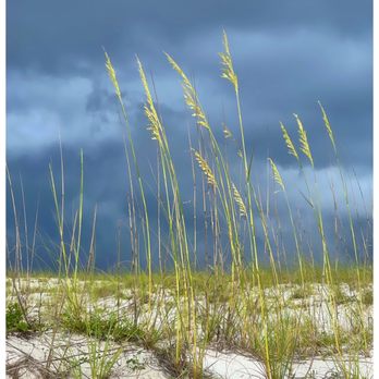 Johnson Beach - Beaches Near Me - Pensacola, Florida