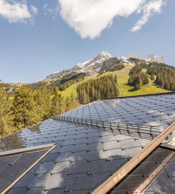 Blue Sky Energy Solutions