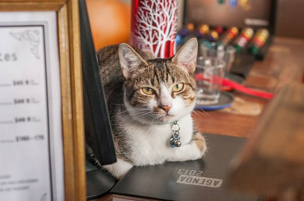 Discovery Hostel Rio by null