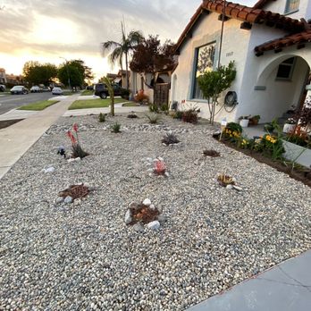 Green Touch Tree and Landscaping Services - The plants were chosen by me, but nearly everything else was with Fil! - Tree Services Near Me - Bellflower, California Green Touch Tree and Landscaping Services - The plants were chosen by me, but nearly everything else was with Fil! - Tree Services Near Me - Bellflower, California