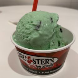 Bruster's Real Ice Cream - Dairy free and vegan