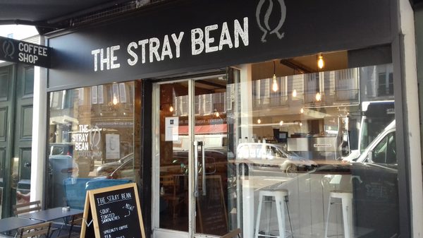 The Stray Bean by null