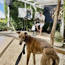 Cape Cod Winery - Willie's first concert