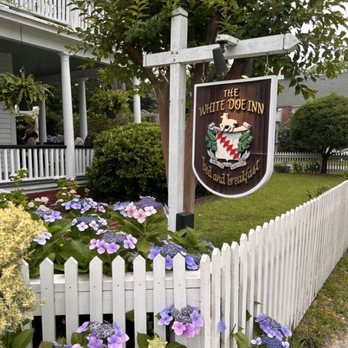 White Doe Inn - Bed & Breakfast Near Me - Manteo, North Carolina