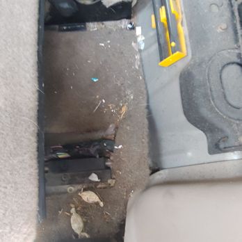 Idaho Express Detail - This is under the deck in the back where he didn't vacuum it all right - Auto Detailing Near Me - Boise, Idaho Idaho Express Detail - This is under the deck in the back where he didn't vacuum it all right - Auto Detailing Near Me - Boise, Idaho