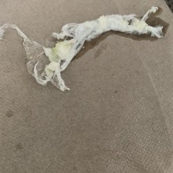 This is the plastic wrap that was in my coleslaw!