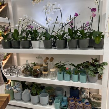 Mari’s Urban Garden - Nurseries & Gardening Near Me - Honolulu, Hawaii