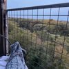 Gruene River Hotel & Retreat gift card