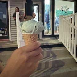 Vanderwende's - Mint Chocolate Chip Kid's scoop~