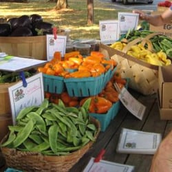 Horse and Buggy Produce - Buying a la carte at a pickup site...