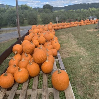 Stribling Orchard - Fruits & Veggies Near Me - Markham, Virginia
