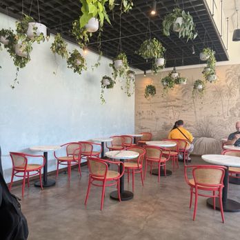Cafe Quiquiriqui - Seating - Coffee & Tea Near Me - Tampa, Florida Cafe Quiquiriqui - Seating - Coffee & Tea Near Me - Tampa, Florida