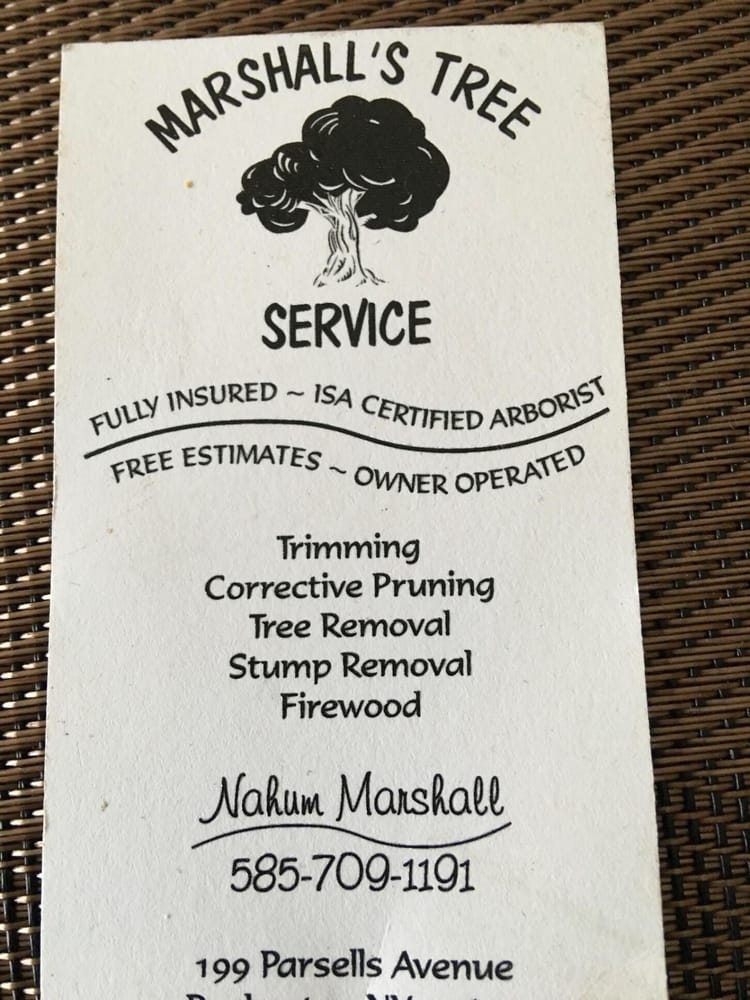 Marshall's Tree Service - tree service in Rochester, NY