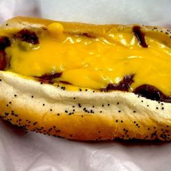 Chili Cheese Dog