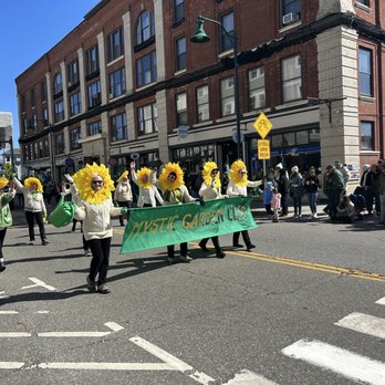 Rocks21 - Mystic Irish Parade - Seafood Near Me - Mystic, Connecticut Rocks21 - Mystic Irish Parade - Seafood Near Me - Mystic, Connecticut