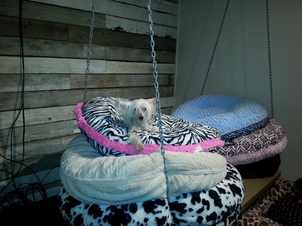 MADILYNNS BOARDING & GROOMING Updated September 2024 12 Reviews