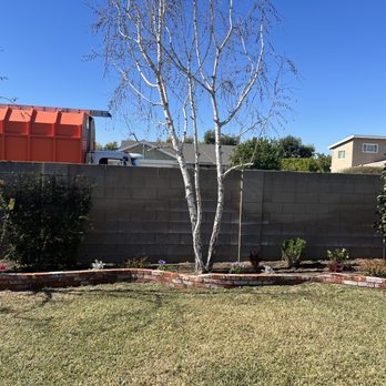 Pacific Concrete - Backyard brick with subtle step down levels - Masonry/Concrete Near Me Pacific Concrete - Backyard brick with subtle step down levels - Masonry/Concrete Near Me