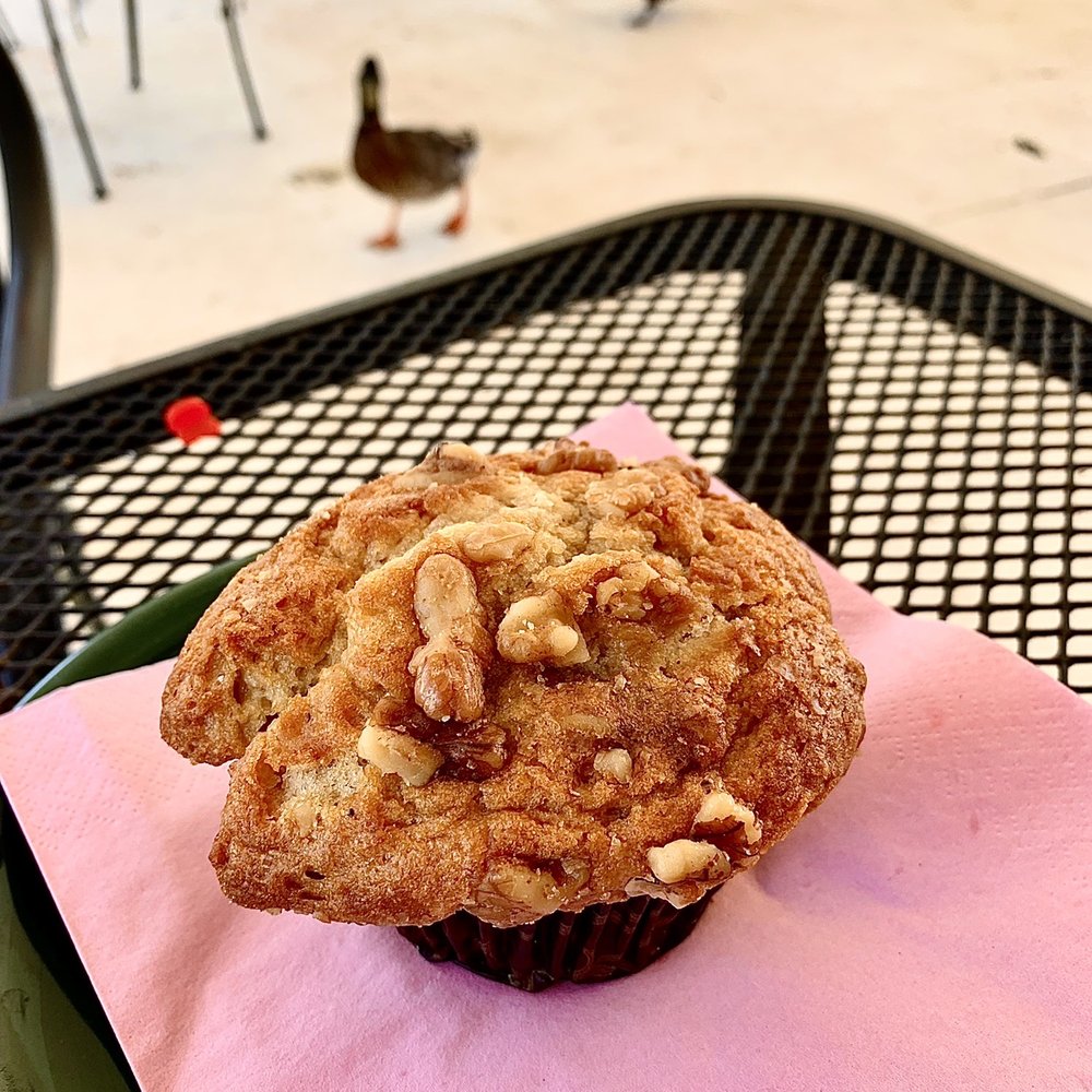 Yellowbird Coffee Shop - Banana Nut Muffin outdoors in the patio. - Coffee & Tea Near Me - Copperhill, Tennessee Yellowbird Coffee Shop - Banana Nut Muffin outdoors in the patio. - Coffee & Tea Near Me - Copperhill, Tennessee