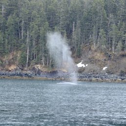 Humpback
