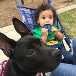 Redding Trail Dog Park