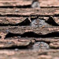 Slide of E R C  Roofing and Construction