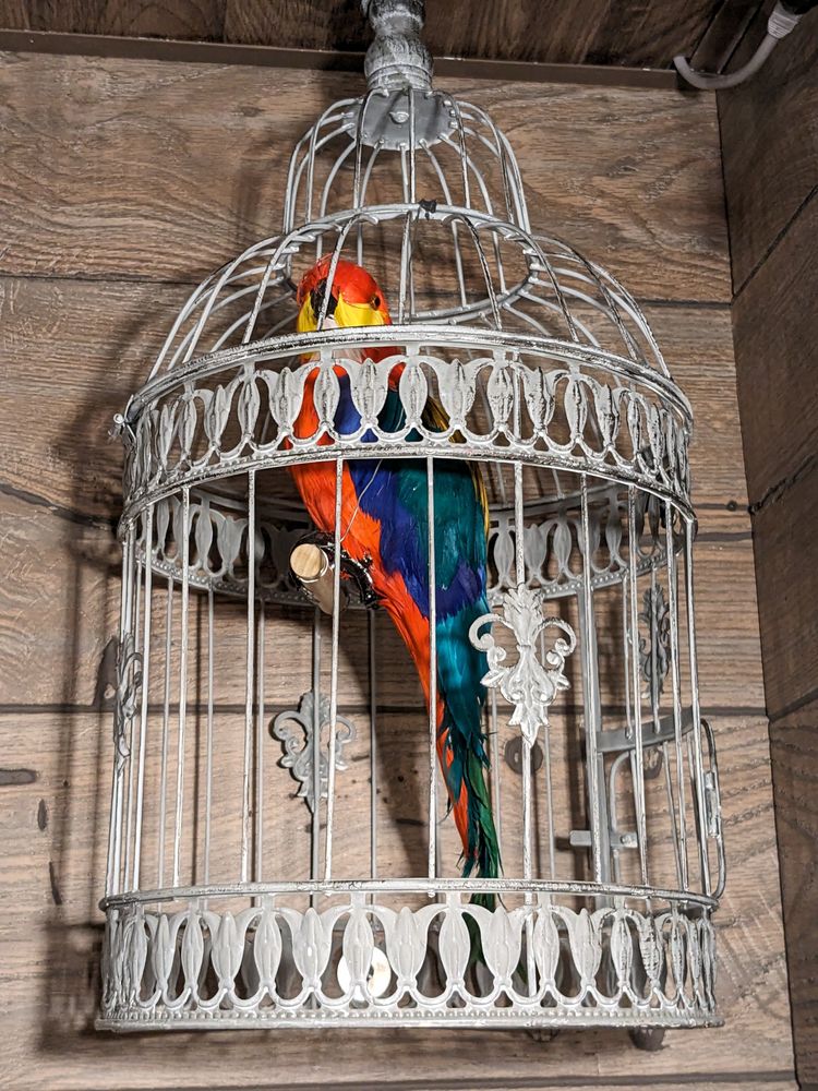 Solve Escape Rooms Logo