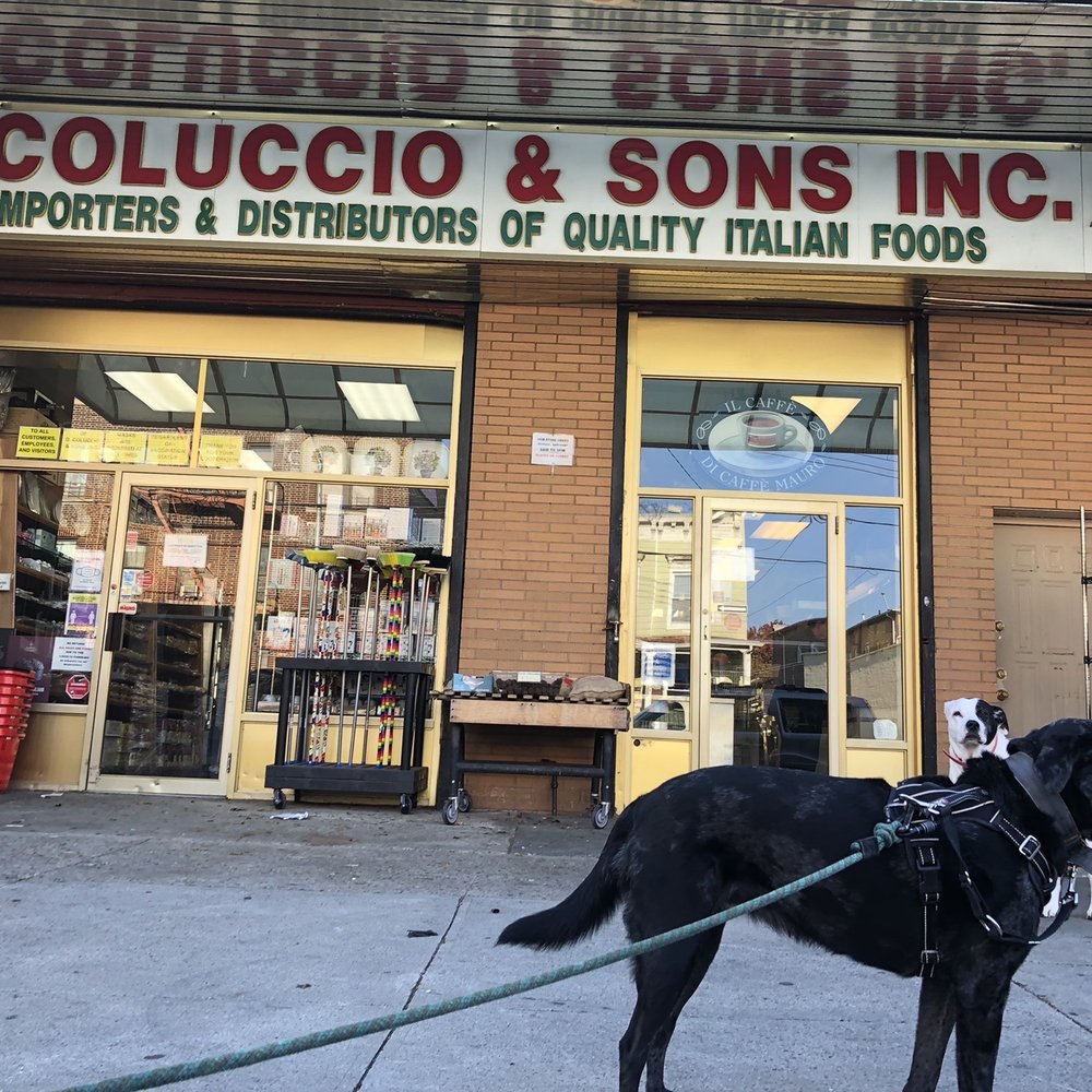 D. Coluccio & Sons - Outside - Cheese Shops Near Me - Brooklyn, New York D. Coluccio & Sons - Outside - Cheese Shops Near Me - Brooklyn, New York