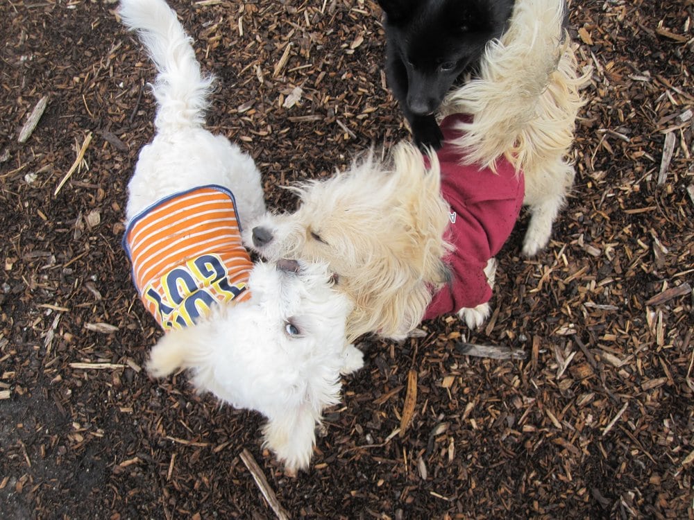 SKYPARK Updated August 2024 28 Photos & 27 Reviews 361 Kings