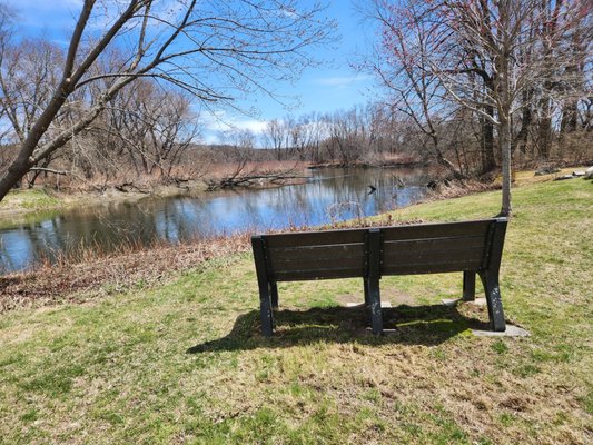 Thom Reed - UFO Park by null