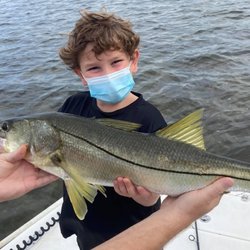 Reel Shallow Fishn Charters - Snook in Bayport, FL