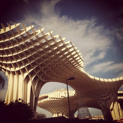 Setas de Sevilla by null