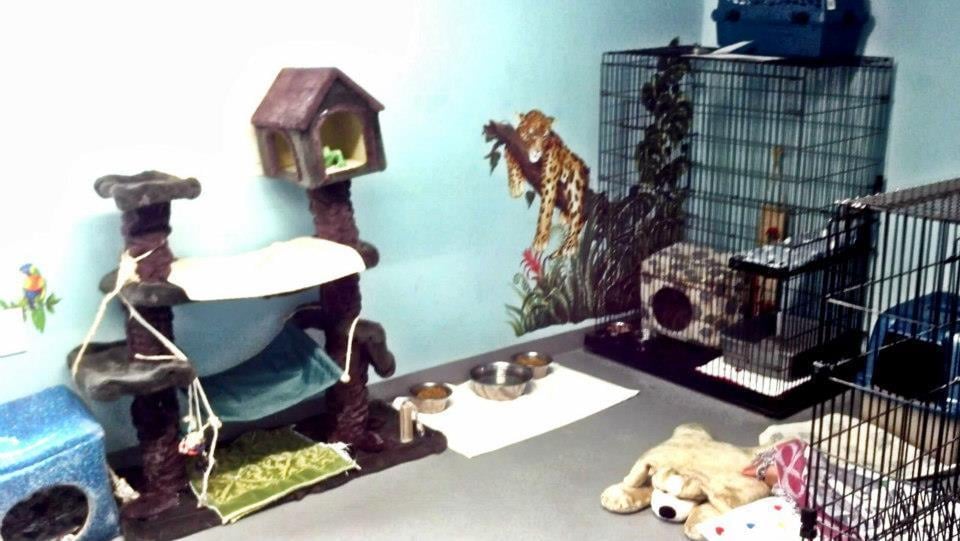 Barney's Kennels & Grooming Image