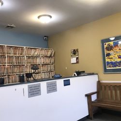 Collins Hospital for Animals - View from the reception area.