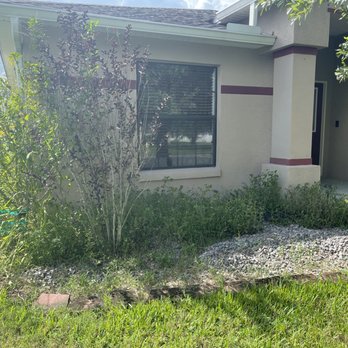 Fig And Fern - the front of a house - Landscaping Near Me Fig And Fern - the front of a house - Landscaping Near Me