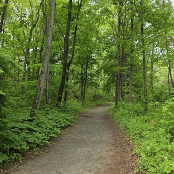 Little Stony Point Park - The path to the beach. - Parks Near Me - Cold Spring, New York Little Stony Point Park - The path to the beach. - Parks Near Me - Cold Spring, New York