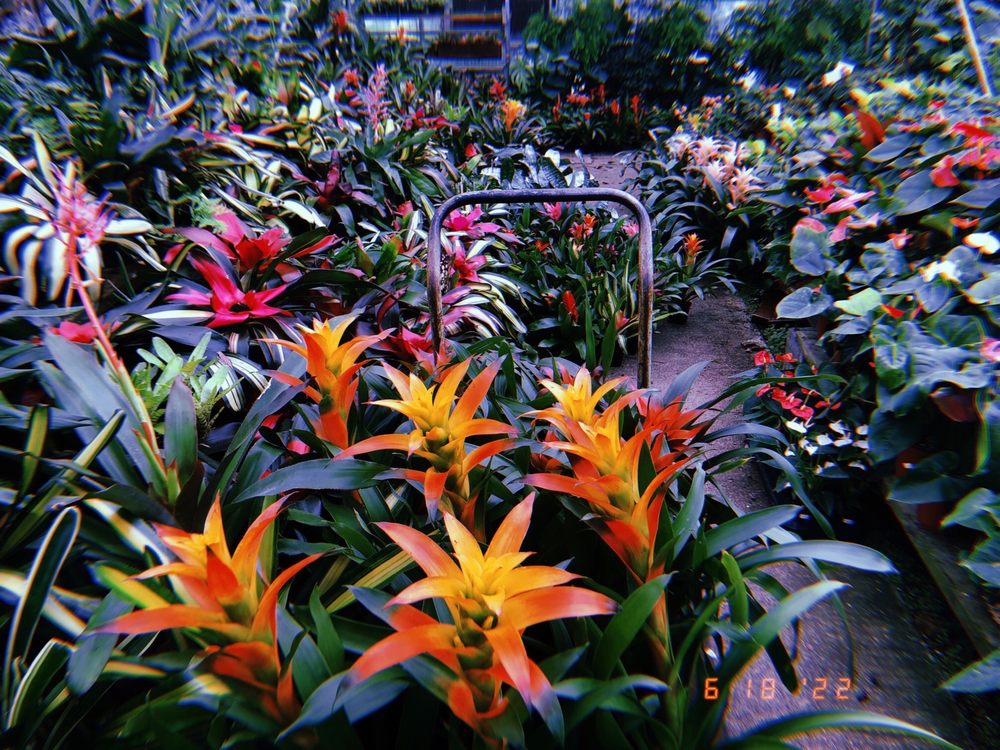 BIG GREENHOUSE Updated October 2024 30 Photos 3600 Spring Garden