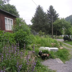 Das Steingut - Die Zufahrt (rechts), Hahn Jochen (Mitte), der Geräteschuppen (links.
