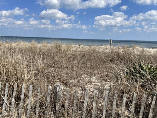 Rehoboth Beach by null