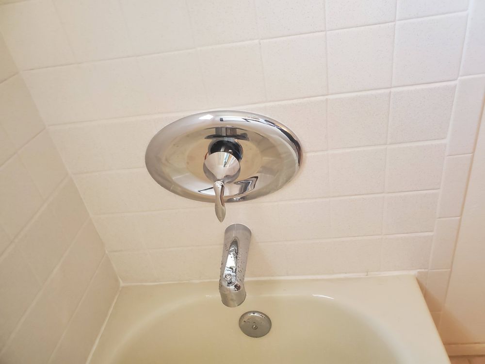 Slide of Mammoth Solutions