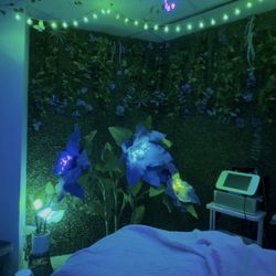 The Sculpt Fairy - Cranial sacral therapy using my HSA