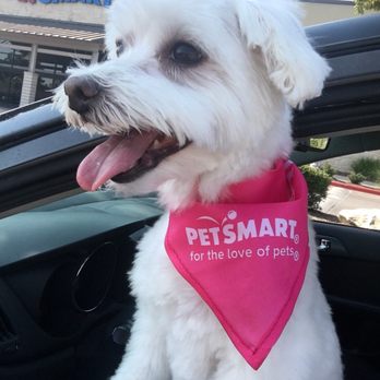 PetSmart - Pet Groomers Near Me - Cedar Park, Texas PetSmart - Pet Groomers Near Me - Cedar Park, Texas