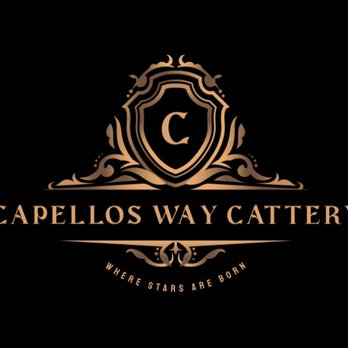 Capellos Way Cattery - Pet Breeders Near Me - Middleborough, Massachusetts Capellos Way Cattery - Pet Breeders Near Me - Middleborough, Massachusetts