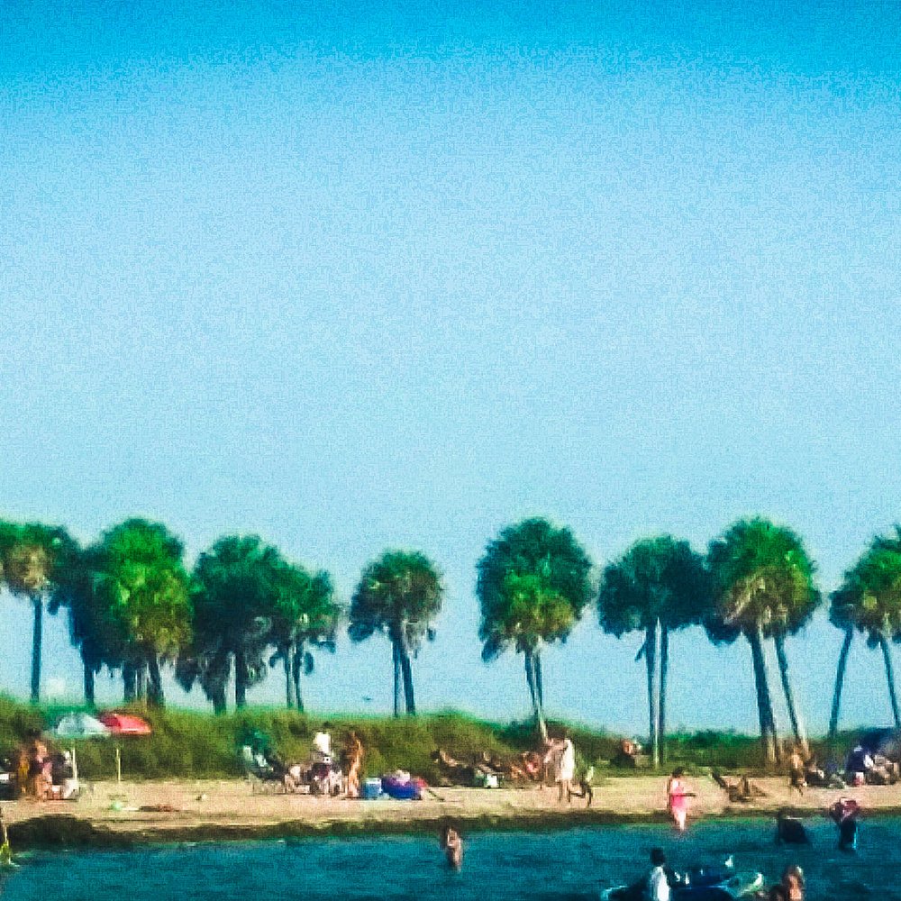 Fred Howard Park - Parks Near Me - Tarpon Springs, Florida Fred Howard Park - Parks Near Me - Tarpon Springs, Florida