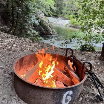 Big Sur Campground and Cabins - Campsite - Campgrounds Near Me - Big Sur, California