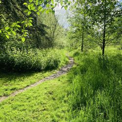 Hockinson Meadows Community Park
