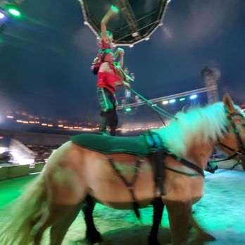 Cirque Ma'Ceo - Horses/performers - Performing Arts Near Me - San Jose, California Cirque Ma'Ceo - Horses/performers - Performing Arts Near Me - San Jose, California