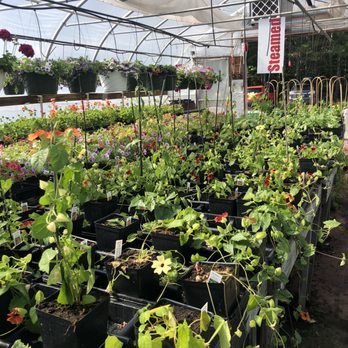 Hutchings Greenhouse - Nurseries & Gardening Near Me - Eddington, Maine Hutchings Greenhouse - Nurseries & Gardening Near Me - Eddington, Maine